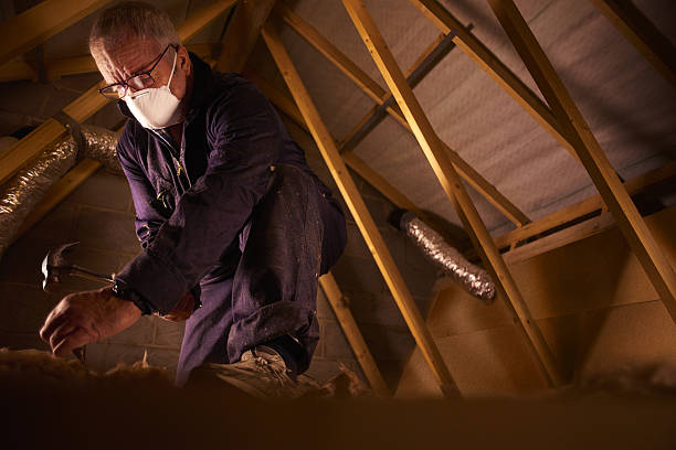 Best Eco-Friendly Insulation in Waconia, MN